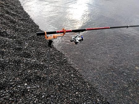 大きくなってきましたね(^^)