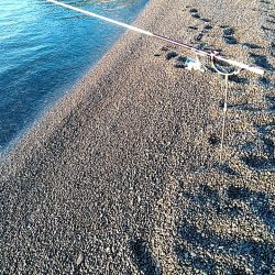 残念小型でした(#^^#)