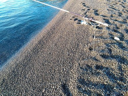 残念小型でした(#^^#)