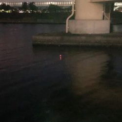 夕まずめ短期勝負