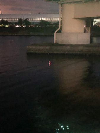 夕まずめ短期勝負