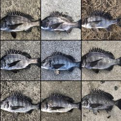 イチノ兄弟、釣果！