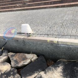 エビ撒き時合は突然に！