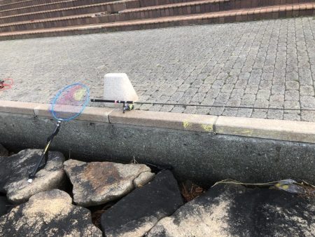 エビ撒き時合は突然に！