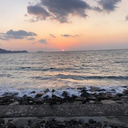 ど迫力のマゴチ