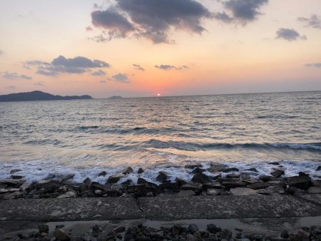 ど迫力のマゴチ