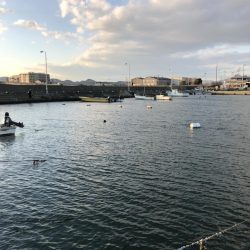 イチノ兄弟、釣果！