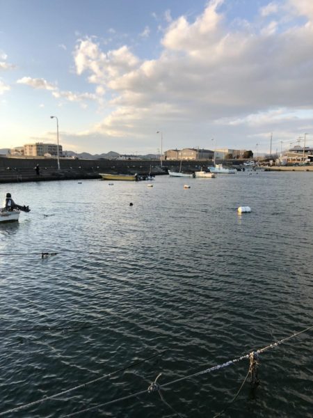 イチノ兄弟、釣果！