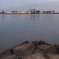 初釣りは、ボラ、コノシロ、チーバス