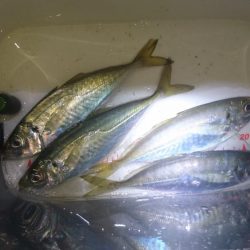 いよいよ終了？！