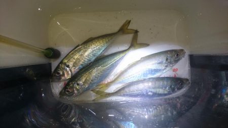 いよいよ終了？！