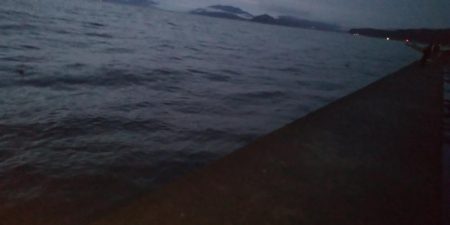 イカを釣りたくて