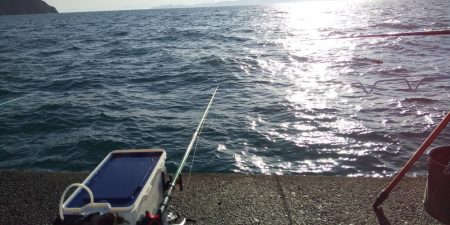 イカを釣りたくて2