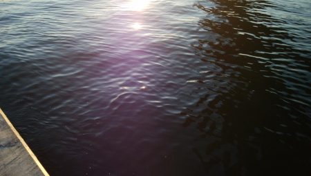 タチウオまだまだ釣れるぞ