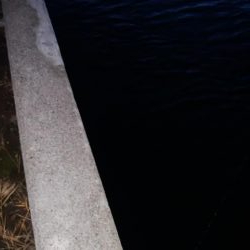 あきらめたらそこでｼｰｽﾞﾝ終了だよ