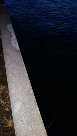 あきらめたらそこでｼｰｽﾞﾝ終了だよ