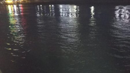 ぶらシーバス！！