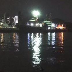 ぶらシーバス！！