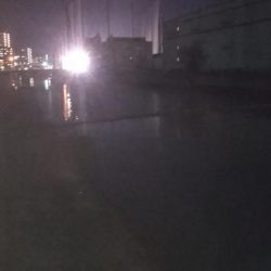 ぶらシーバス！！