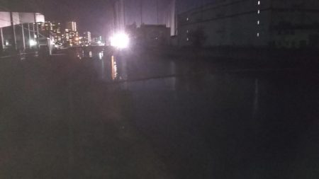 ぶらシーバス！！