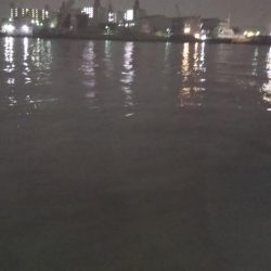 ぶらシーバス！！