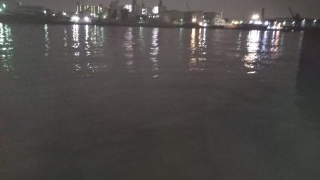 ぶらシーバス！！