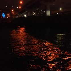 ぶらシーバス!!