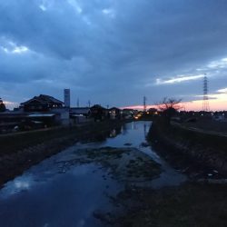 釣り納めは小物釣り…