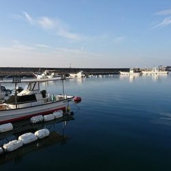 安定の根魚達！