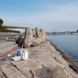 白灯台波止でキス狙い