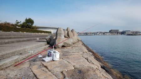 白灯台波止でキス狙い