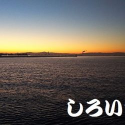 大サバを狙いに行きました。