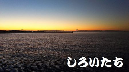 大サバを狙いに行きました。