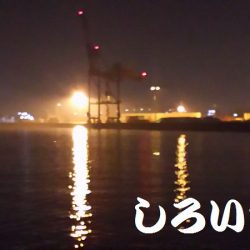 和歌山遠征。1月2回め。