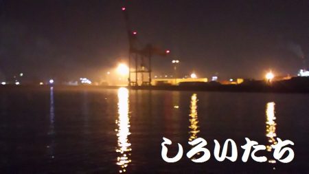 和歌山遠征。1月2回め。