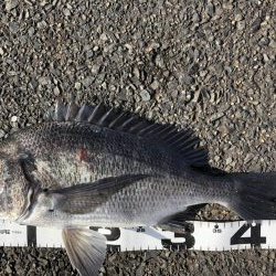 イチノ兄弟、釣果！