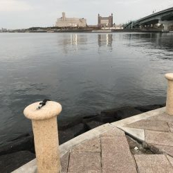 地上は強風、水中は激流