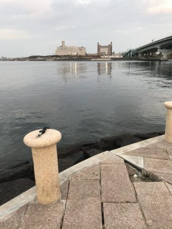 地上は強風、水中は激流