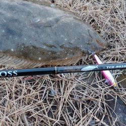 ヒラメゲット!!