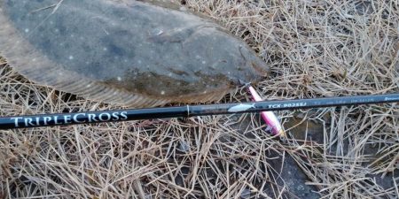 ヒラメゲット!!