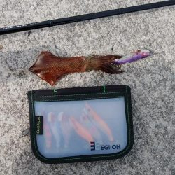 終盤デイヒイカ大爆発