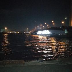 南港へち釣行 (2020/01/10 南港ヘチ釣り ガシラ 22cm、ハゼ 釣果有り)