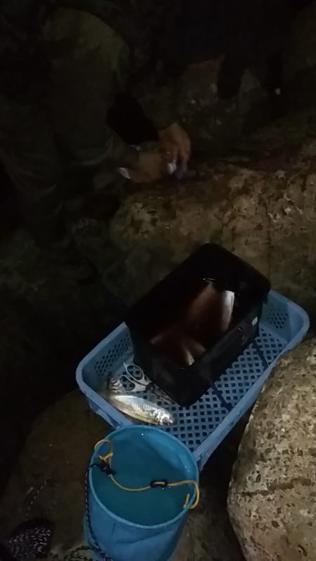 尺あじ泣き尺メバル