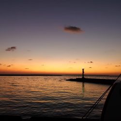 渋いですね、なんとか釣果