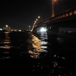 南港へち釣行 (2020/01/13 南港ヘチ釣り 真チヌ44.5cm ガシラ 釣果有り)