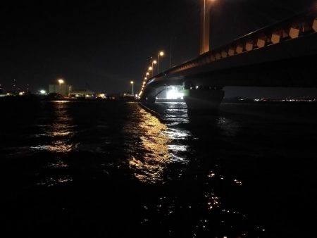 南港へち釣行 (2020/01/13 南港ヘチ釣り 真チヌ44.5cm ガシラ 釣果有り)