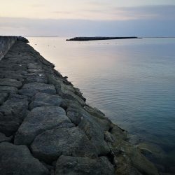 早朝から夕方まで1日仕事~