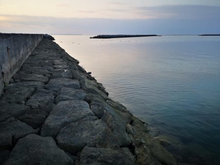 早朝から夕方まで1日仕事~