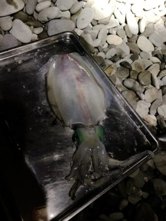 うねり・うねりの３連ちゃん。「鬼アワセでブ…