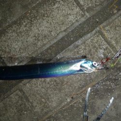 ドラゴンにワイヤー切られ；；